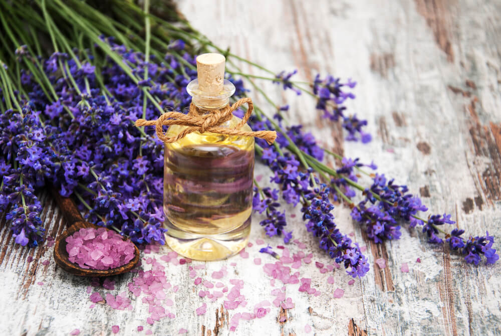 5-simple-ways-improve-indoor-air-quality-lavender
