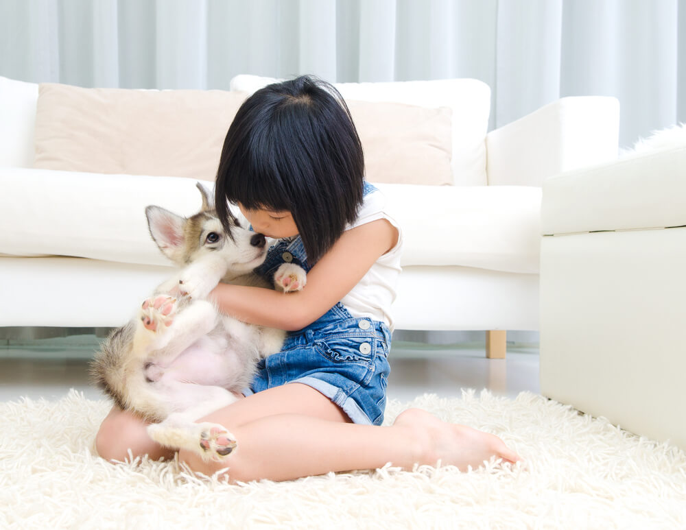 5-simple-ways-improve-indoor-air-quality-pet