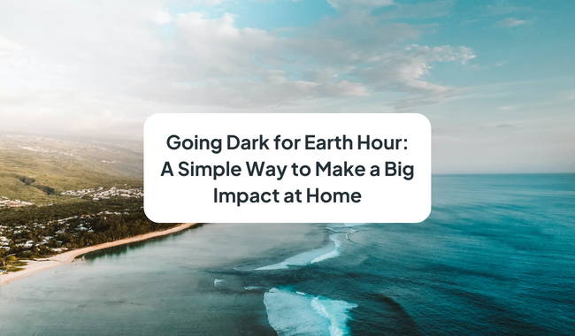 Going Dark for Earth Hour: A Simple Way to Make a Big Impact at Home