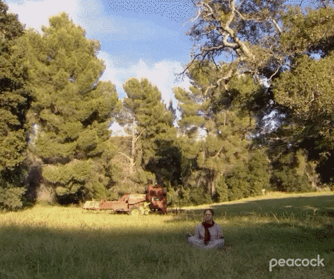 GIF of Dwight Schrute from The Office meditating in the outdoors