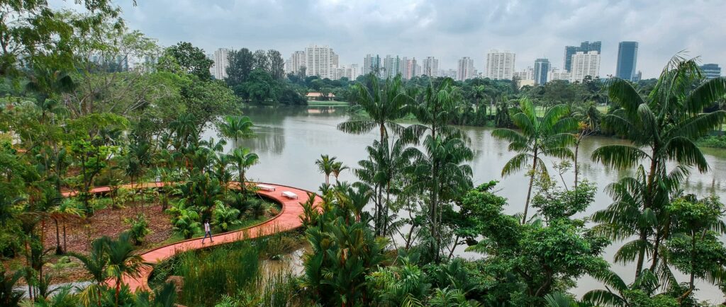 This image features a lush, green park area with a meandering pathway along a serene lake. Tall palm trees and other greenery dominate the foreground, while high-rise buildings are visible in the distant background under a cloudy sky.
